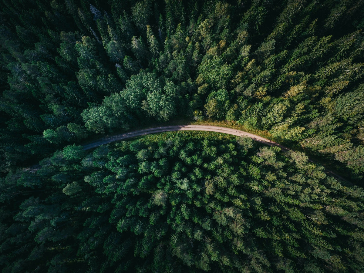 An aerial view of a road curving through a forest